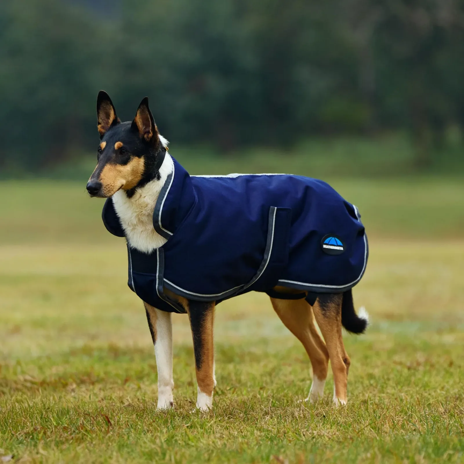 Weatherbeeta ComFiTec 1200D Deluxe Waterproof Dog Coat - Image 2