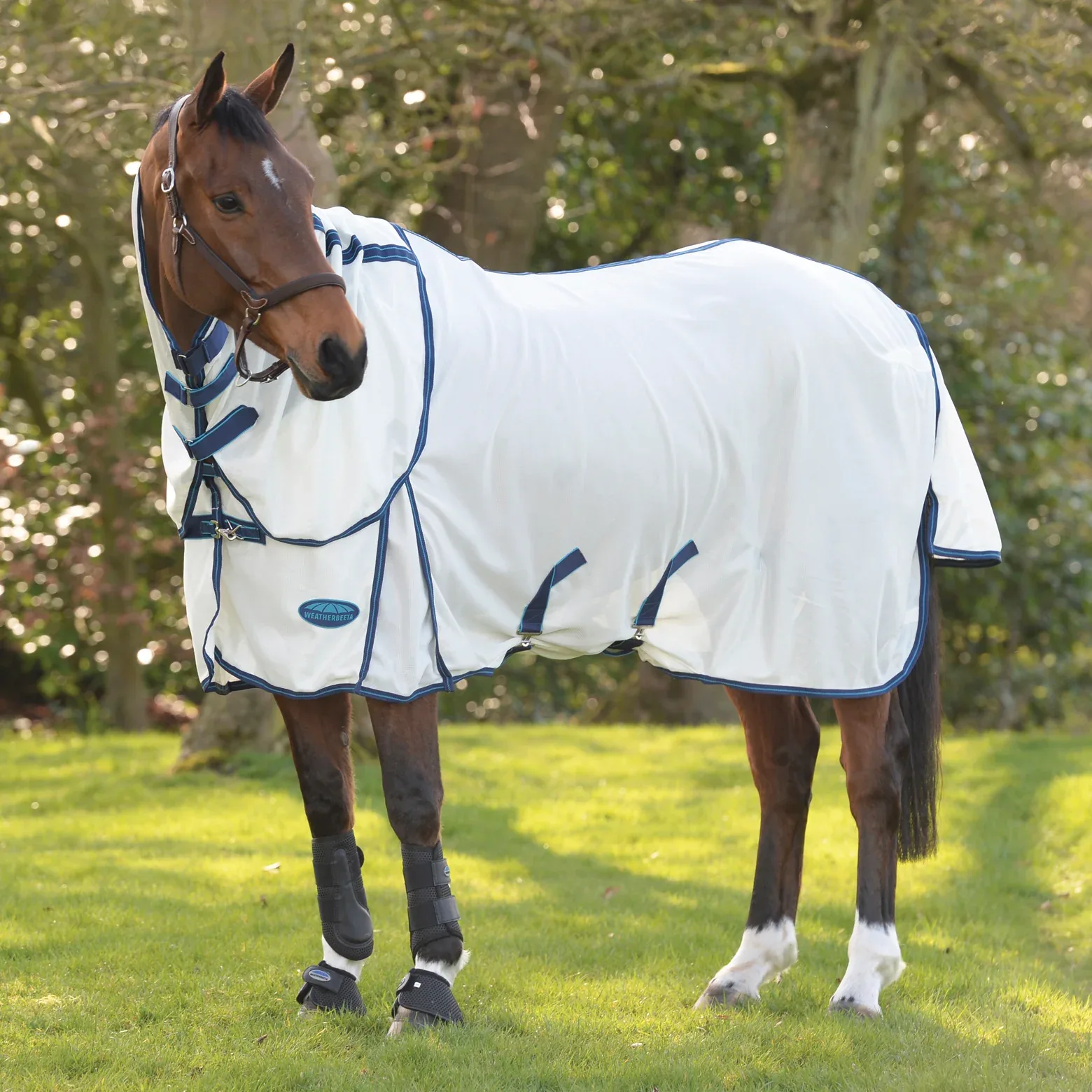 WeatherBeeta® ComFiTec™ Airflow II Detach-A-Neck Fly Sheet - Image 2