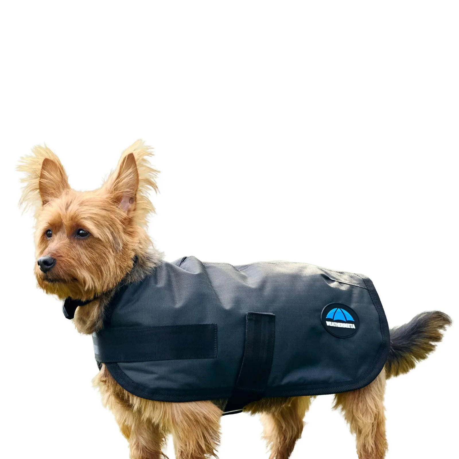 Weatherbeeta ComFiTec Classic Waterproof Dog Coat - Image 2