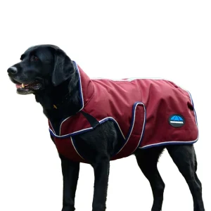 Weatherbeeta ComFiTec Premier Deluxe Waterproof Dog Coat