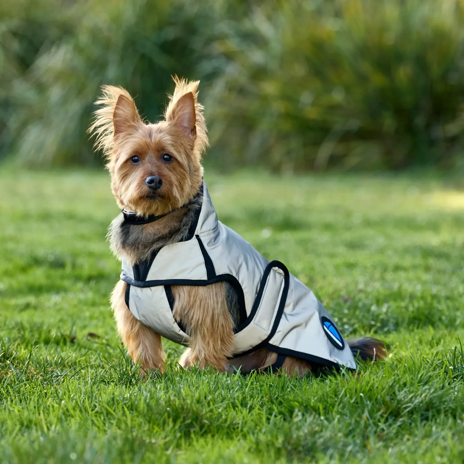 Weatherbeeta ComFiTec Reflective Showerproof Dog Coat - Image 2