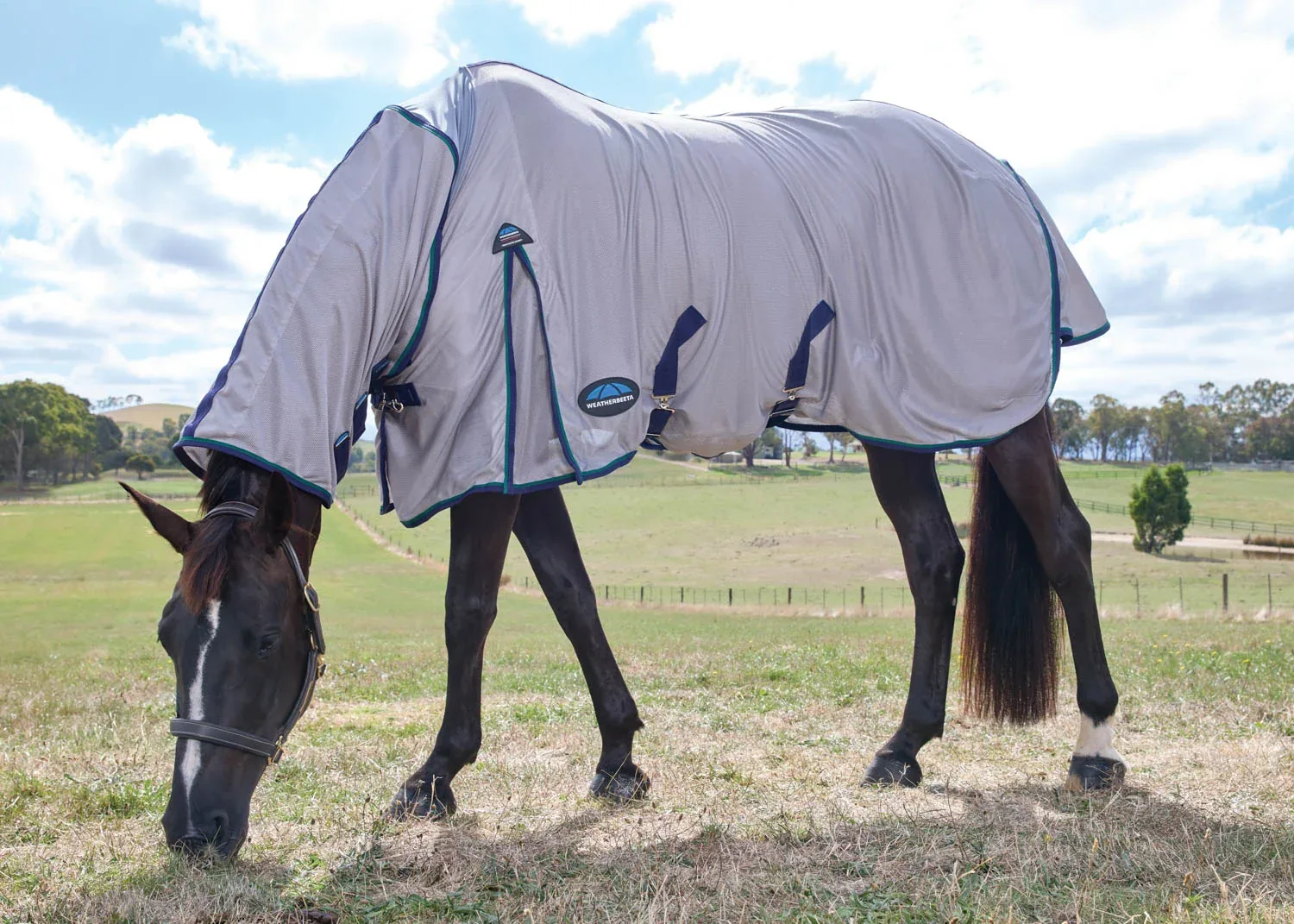 WeatherBeeta® ComFiTec™ Zephyr Fly Sheet Combo - Image 2