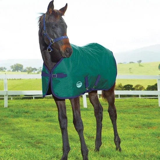 Weatherbeeta Medium Wt. 1200D Foal Blanket