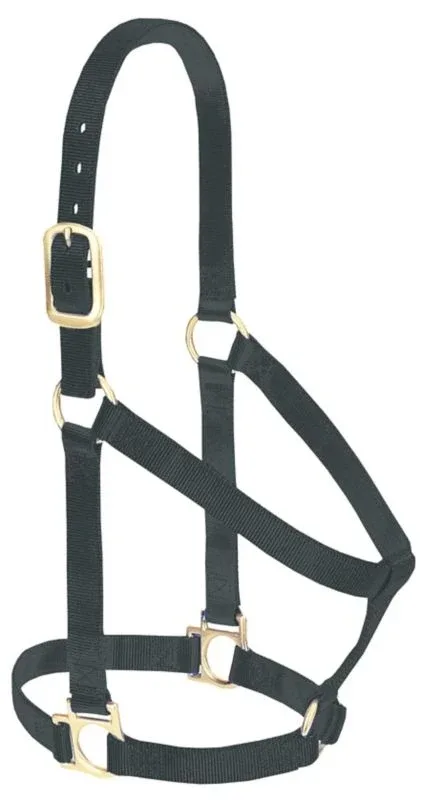 Weaver Basic Nylon Halter - Image 2
