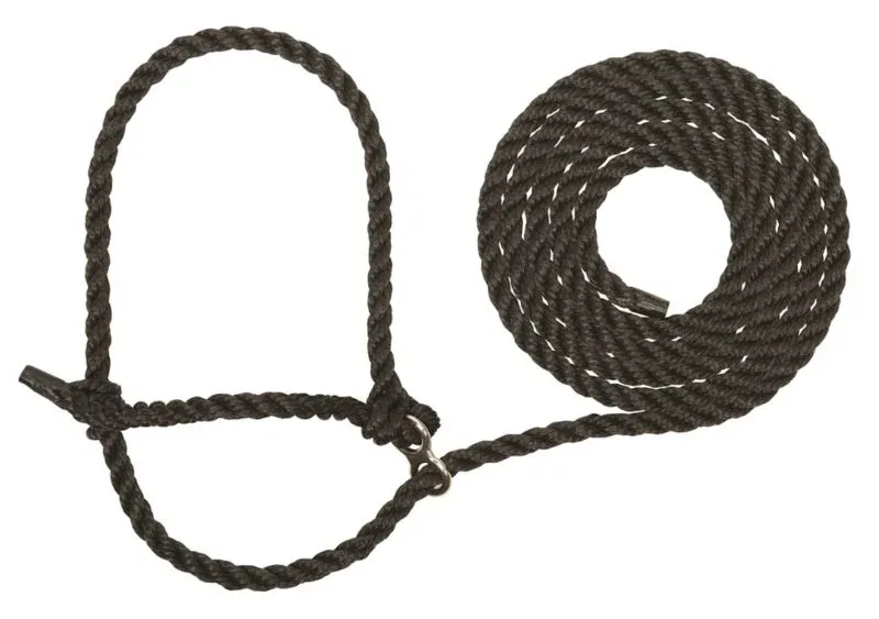 Weaver Extra Long Breaking Halter X Long Black