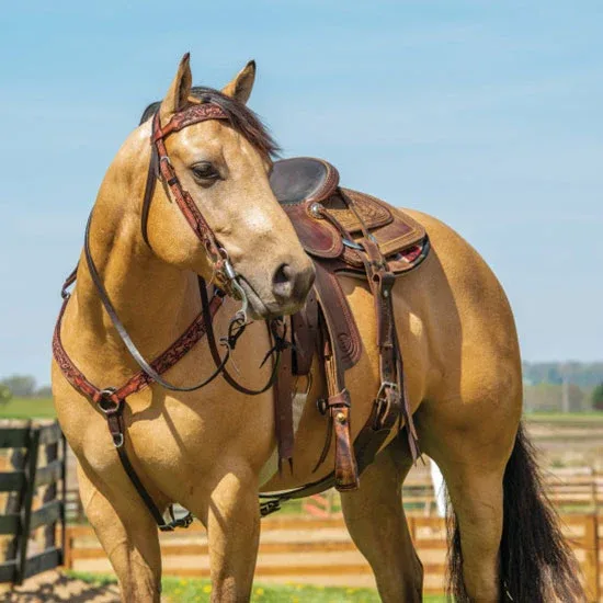 Weaver Leather Pioneer 5/8' Browband Headstall - Image 2