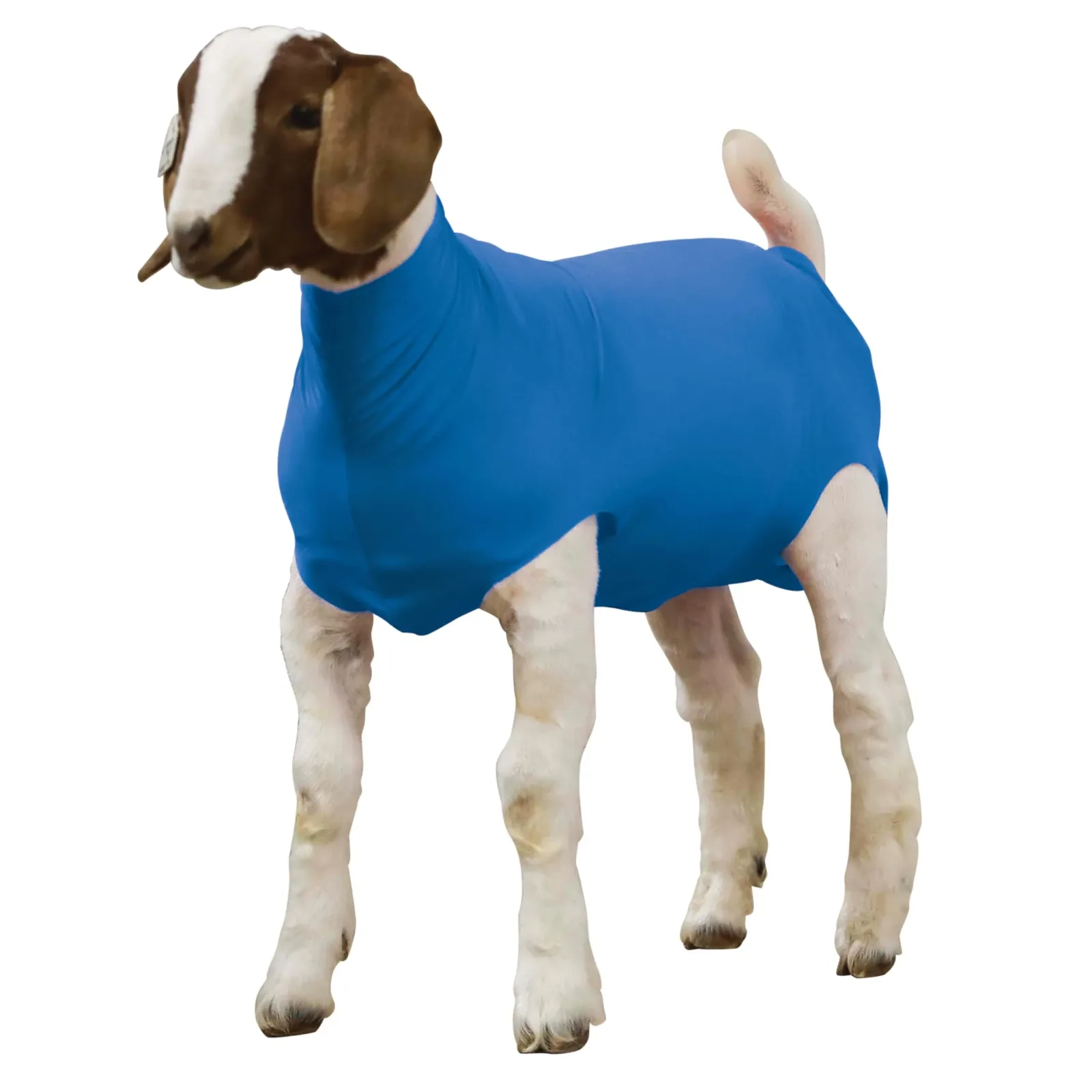 Weaver Livestock Blue Spandex Goat Tube Large