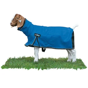 Weaver Livestock Leather ProCool Mesh Goat Blanket XLarge Blue