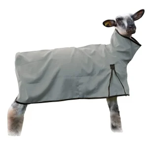 Weaver Livestock Sheep Blanket Solid Butt Extra-Large Gray