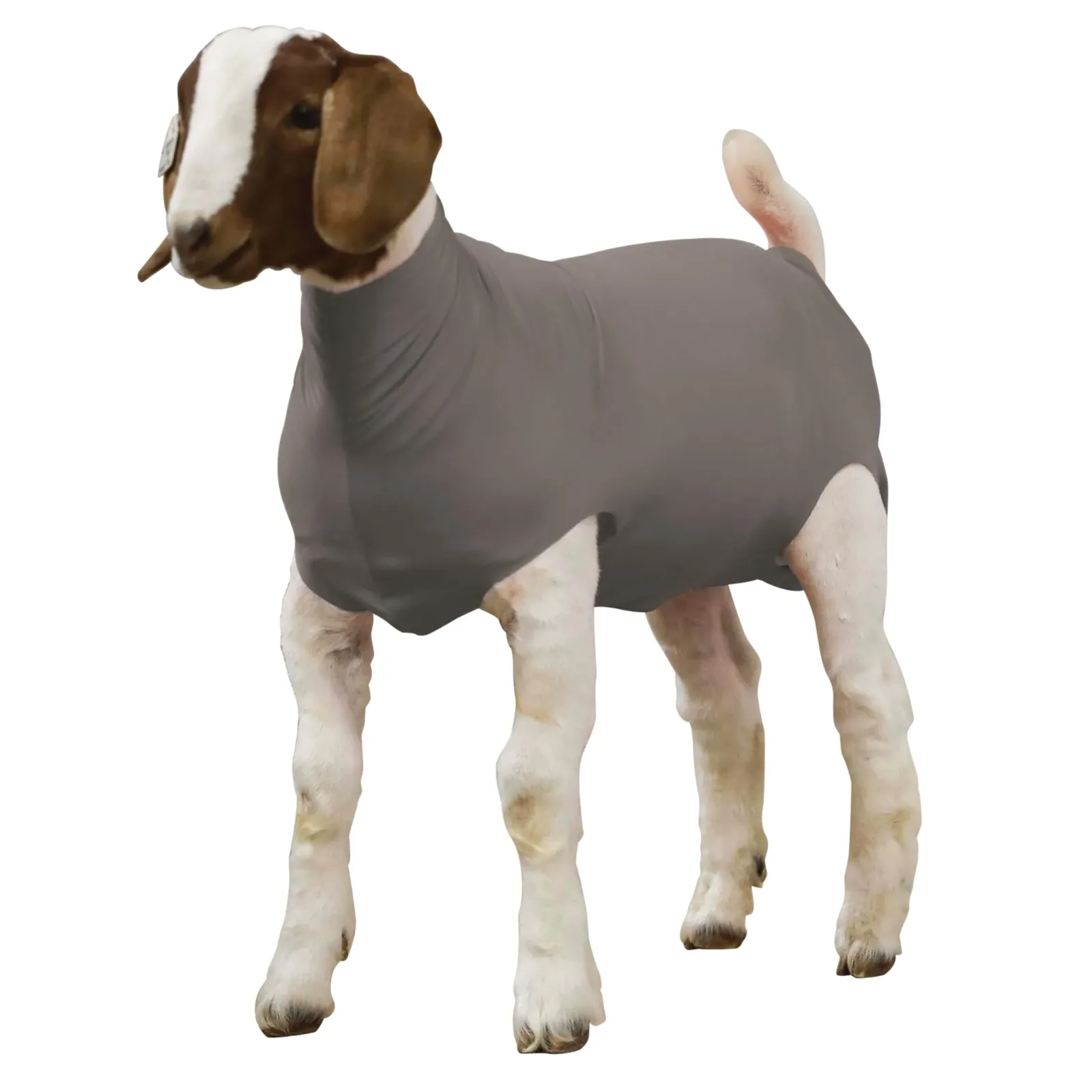 Weaver Livestock Spandex Goat Tube Large Gray