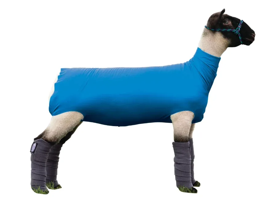 Weaver Livestock Spandex Sheep Tube Small Blue