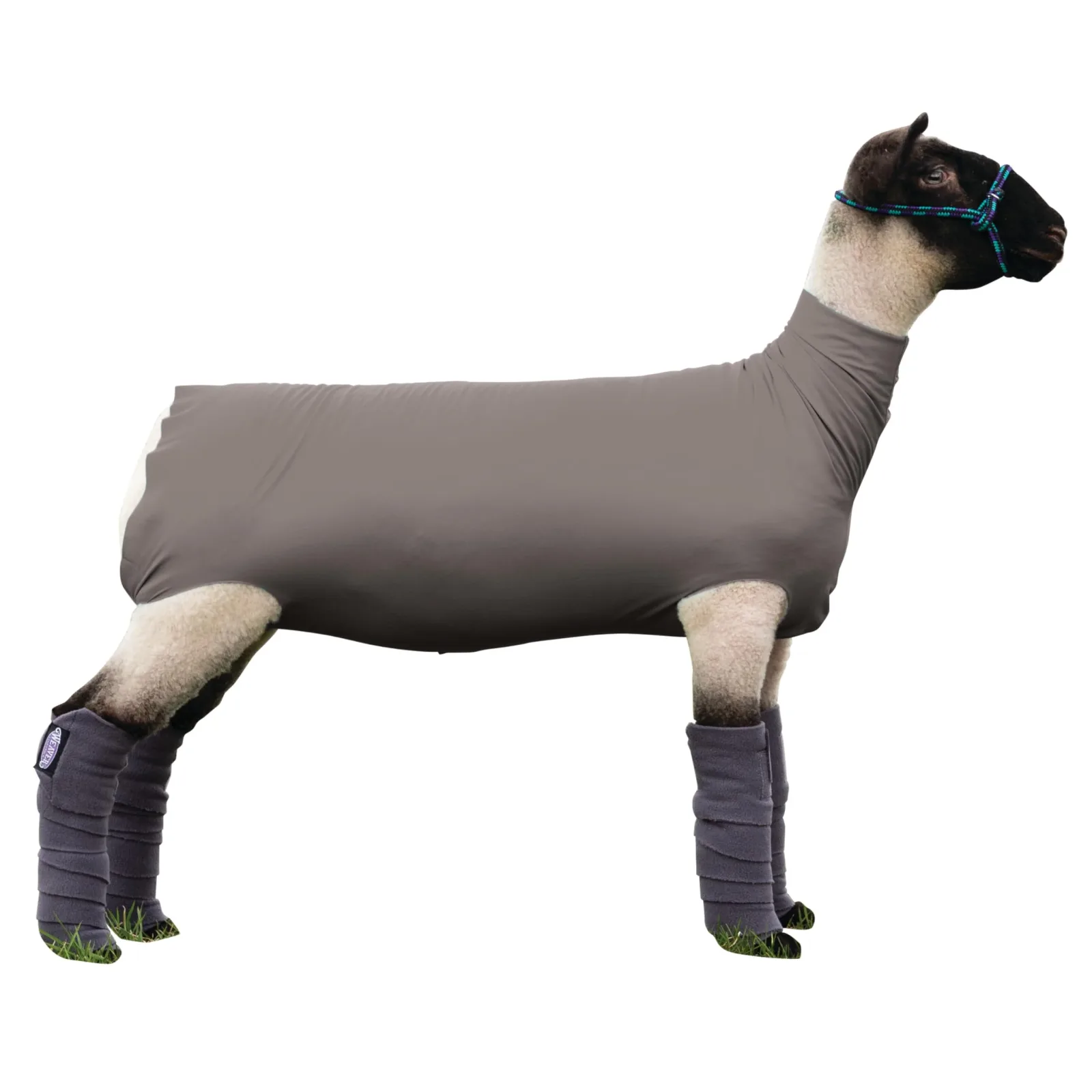 Weaver Livestock Spandex Sheep Tube Small Gray