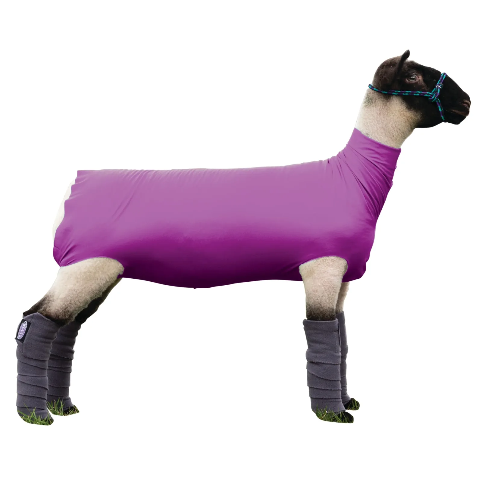 Weaver Livestock Spandex Sheep Tube Small Purple
