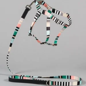 Webbing Nylon Dog Harness in Green Stripe (Made in the USA) (CLEARANCE)