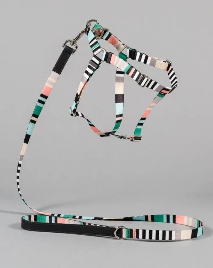 Webbing Nylon Dog Harness in Green Stripe (Made in the USA) (CLEARANCE)