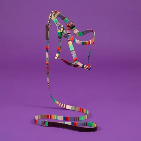 Webbing Nylon Dog Harness in Lavender Stripe(FINAL SALE) - Image 2