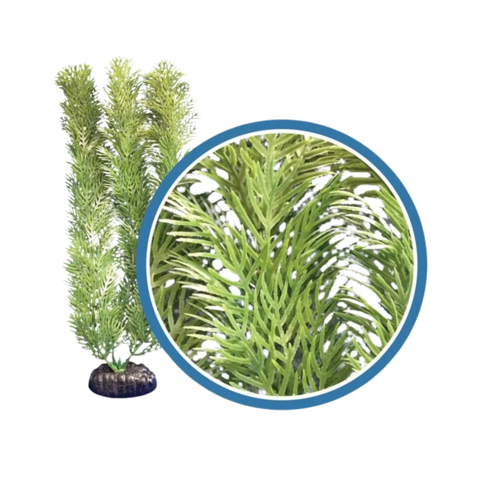 Weco Products Freshwater Pro Series Cabomba Aquarium Plant Green, 1ea/18 in