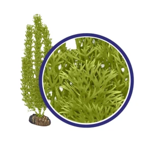 Weco Products Freshwater Series Foxtail Aquarium Plant Green, 1ea/12 in