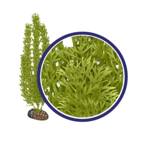 Weco Products Freshwater Series Foxtail Aquarium Plant Green, 1ea/9 in