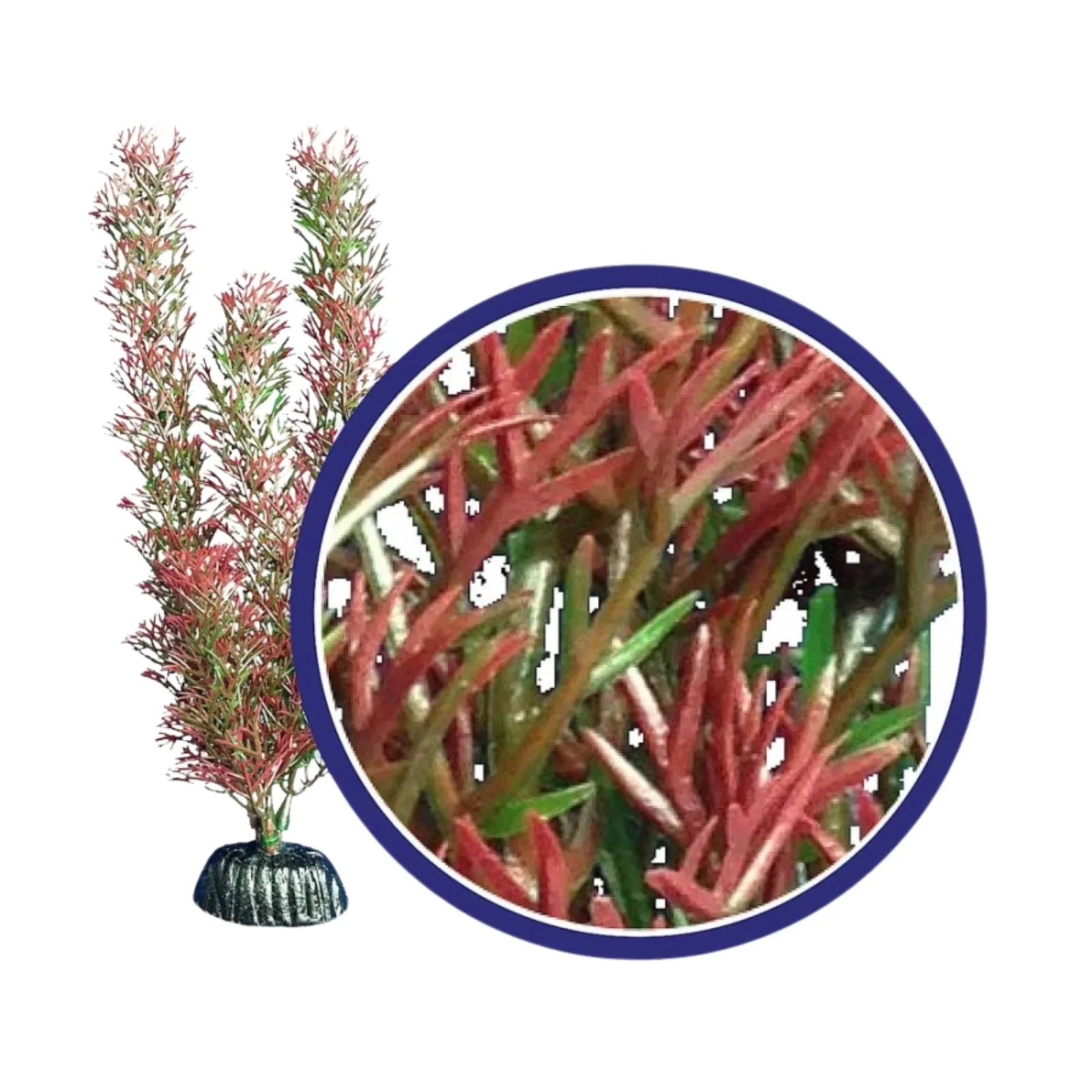 Weco Products Freshwater Series Foxtail Aquarium Plant Red, 1ea/9 in