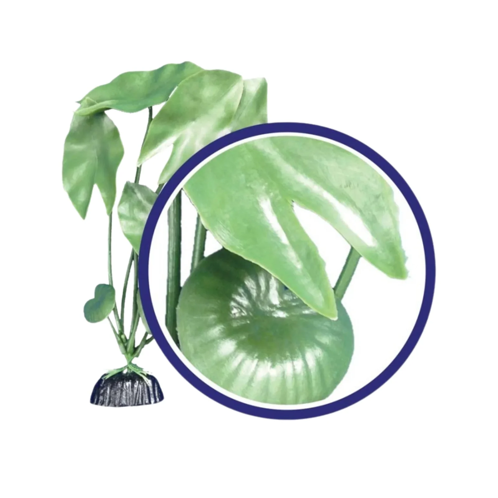 Weco Products Freshwater Series Tiger Lotus Aquarium Plant Green, 1ea/6 in