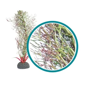 Weco Products Marine Pro Series Fine Branch Kelp Aquarium Plant Green, 1ea/24 in