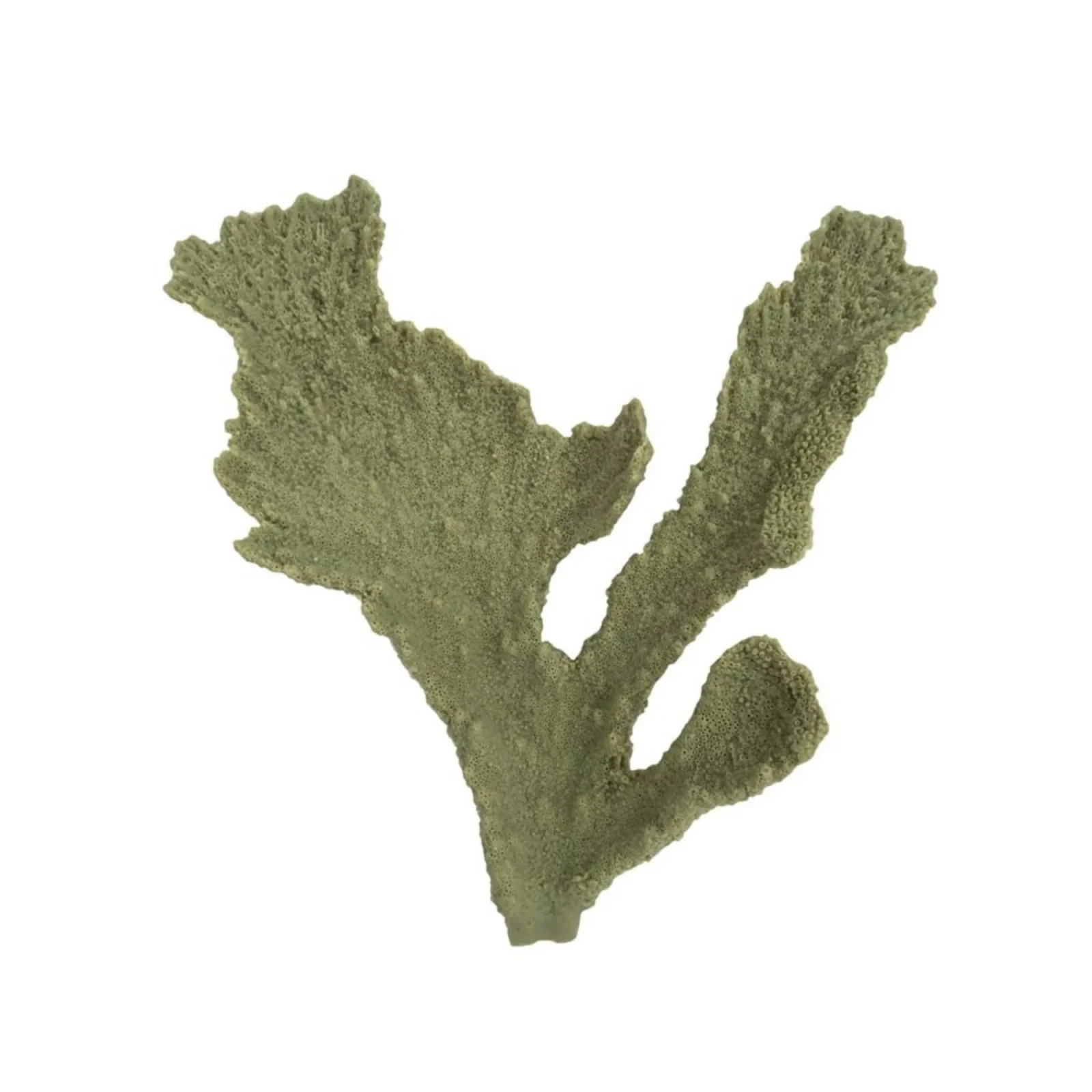Weco Products South Pacific Coral Elkhorn Ornament Grey, 1ea/SM