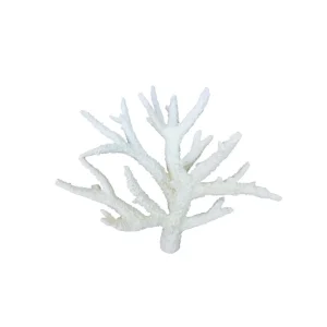 Weco Products South Pacific Coral Staghorn Ornament White, 1ea/MD