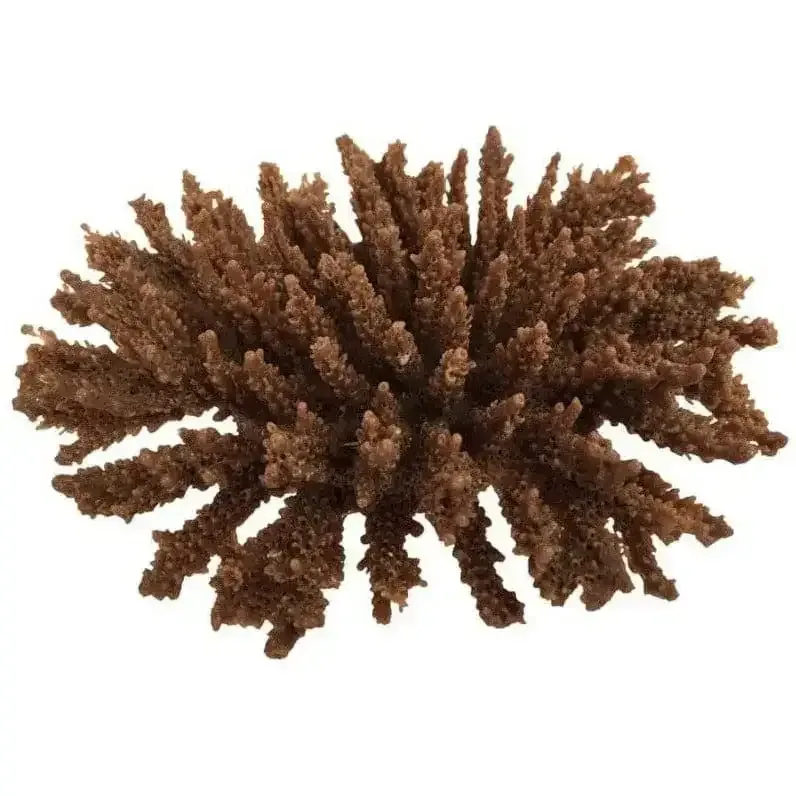 Weco Products South Pacific Coral Tabletop Ornament
