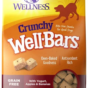 Wellbar Crunchy Yogrt Aple Banana 45oz. Dog Snack