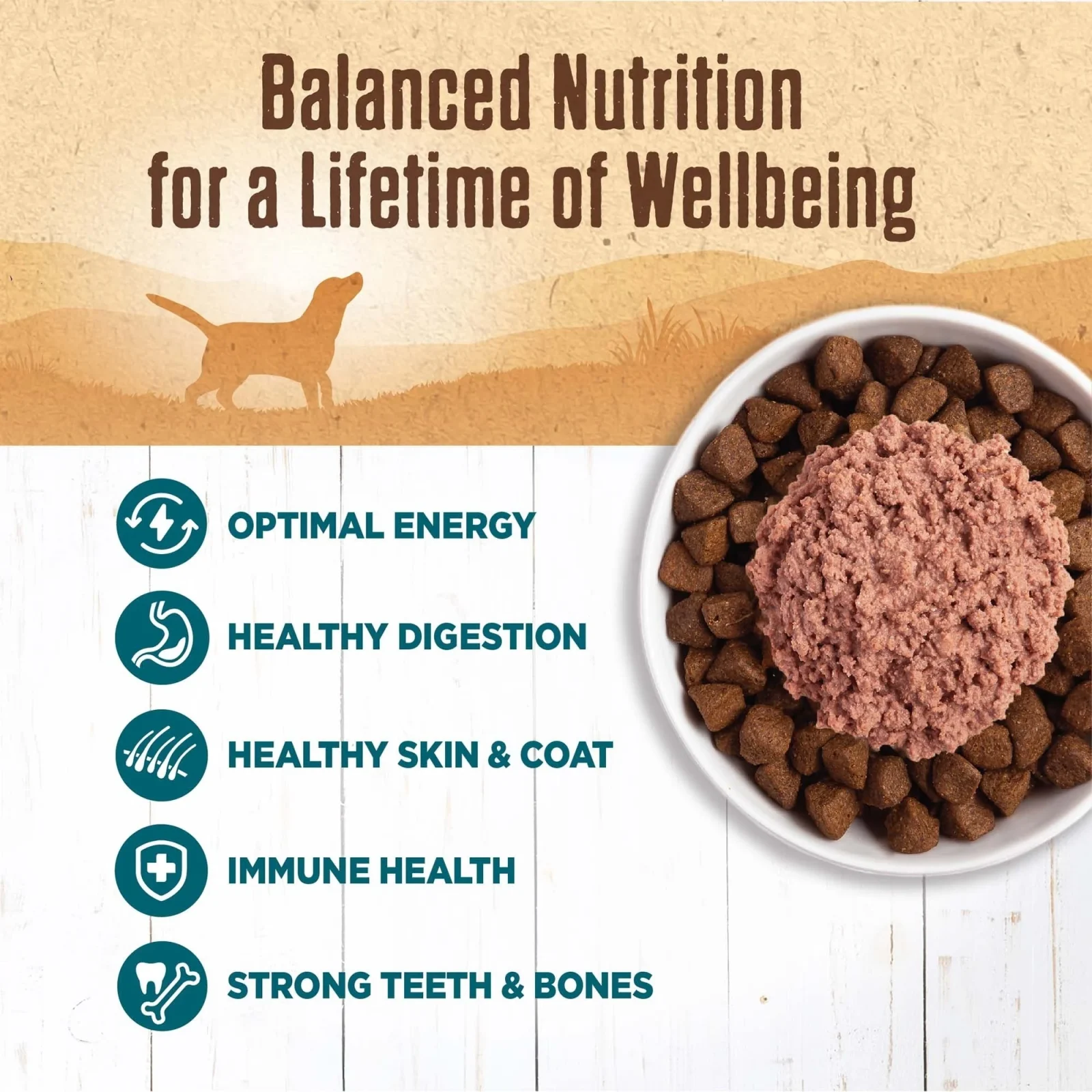 Wellness Complete Health 95% Whitefish Wet Dog Food, 13.2 oz, Case of 12 - Image 2