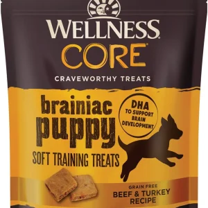 Wellness Core Brainiac Puppy Dog 5oz. Beef Turkey Soft