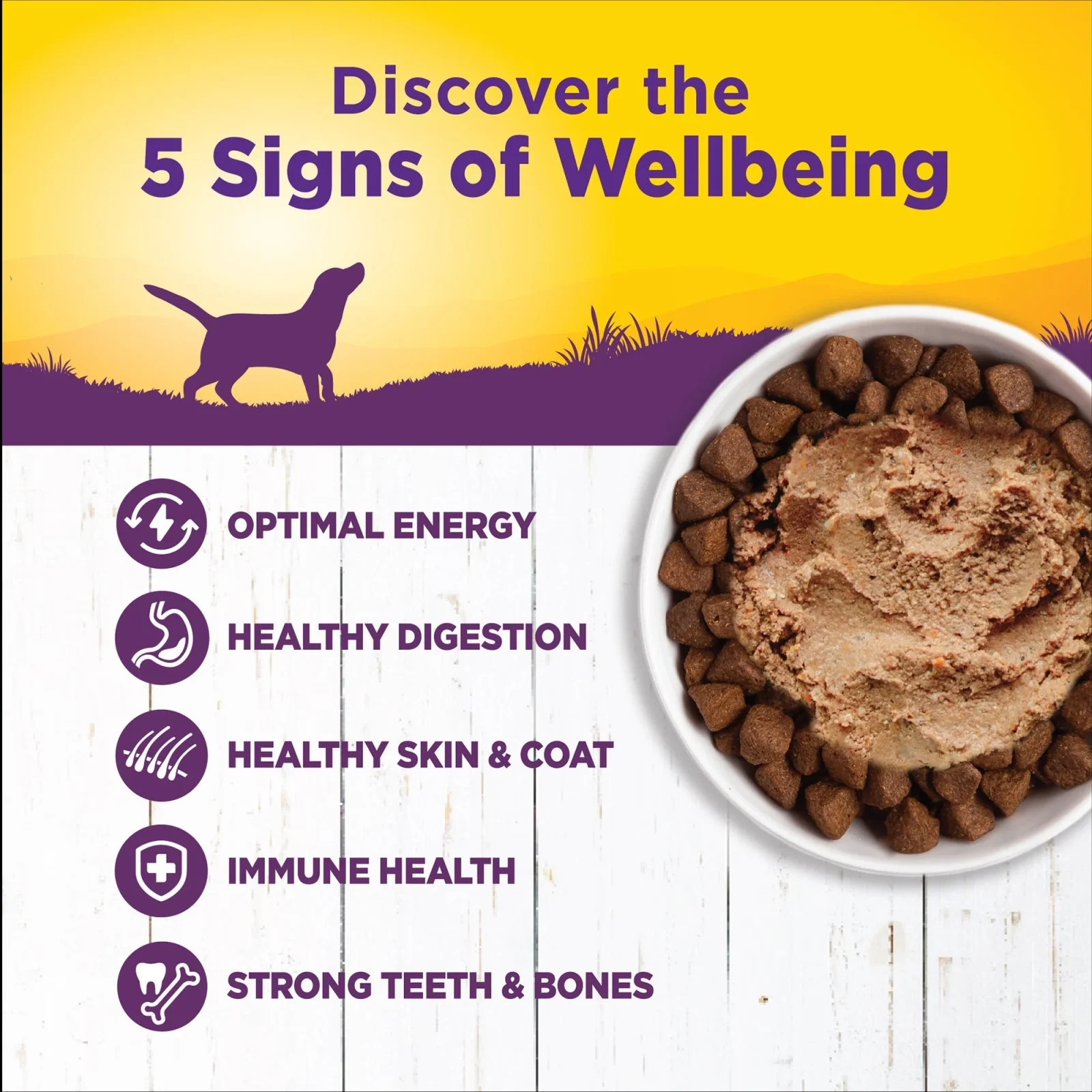 Wellness Dog Complete Health Chicken Sweet Potato Recipe 12.5oz. (Case of 12) - Image 2