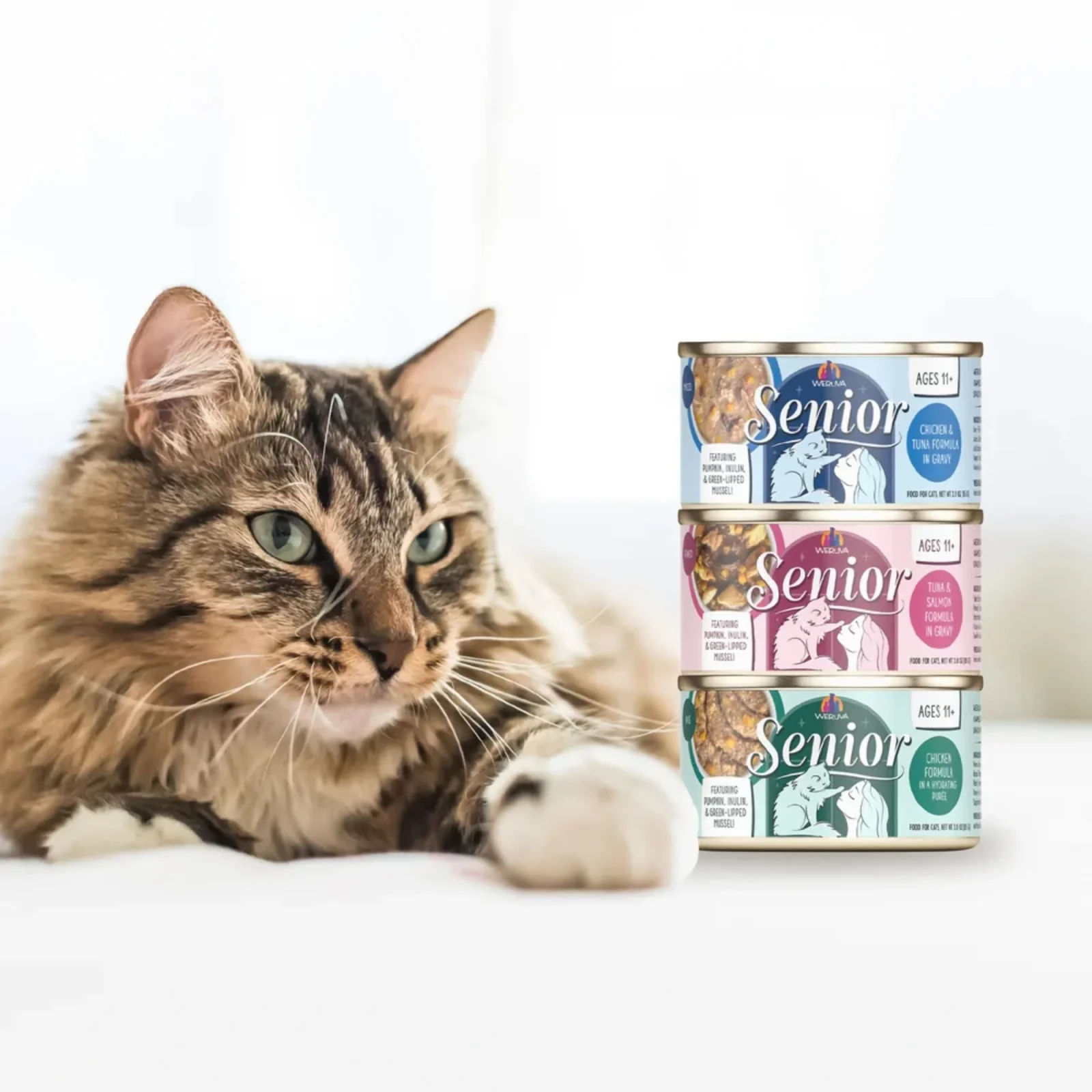 Weruva Cat Senior Hydrating Puree Chicken Formula, 3 oz each, Case of 12 - Image 2