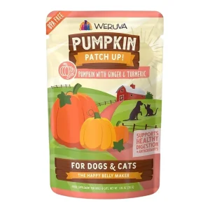 Weruva Dog Cat Pumpkin Ginger 1.05 oz. Pouch 12 ct