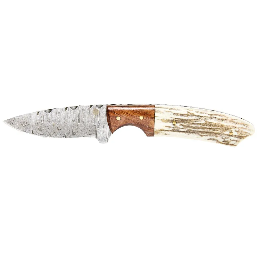 Western Fashion Circle SH Cutlery Damascus Wood & Bone Drop Point Knife with Sheath
