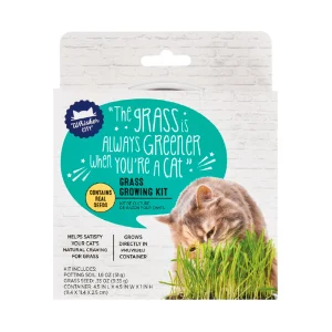 Whisker City Grass Kit Cat Toy