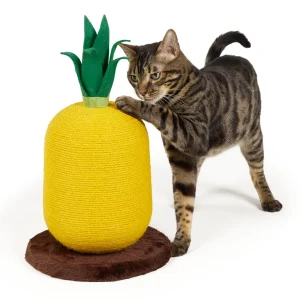 Whisker City® Pineapple WOW Cat Scratcher