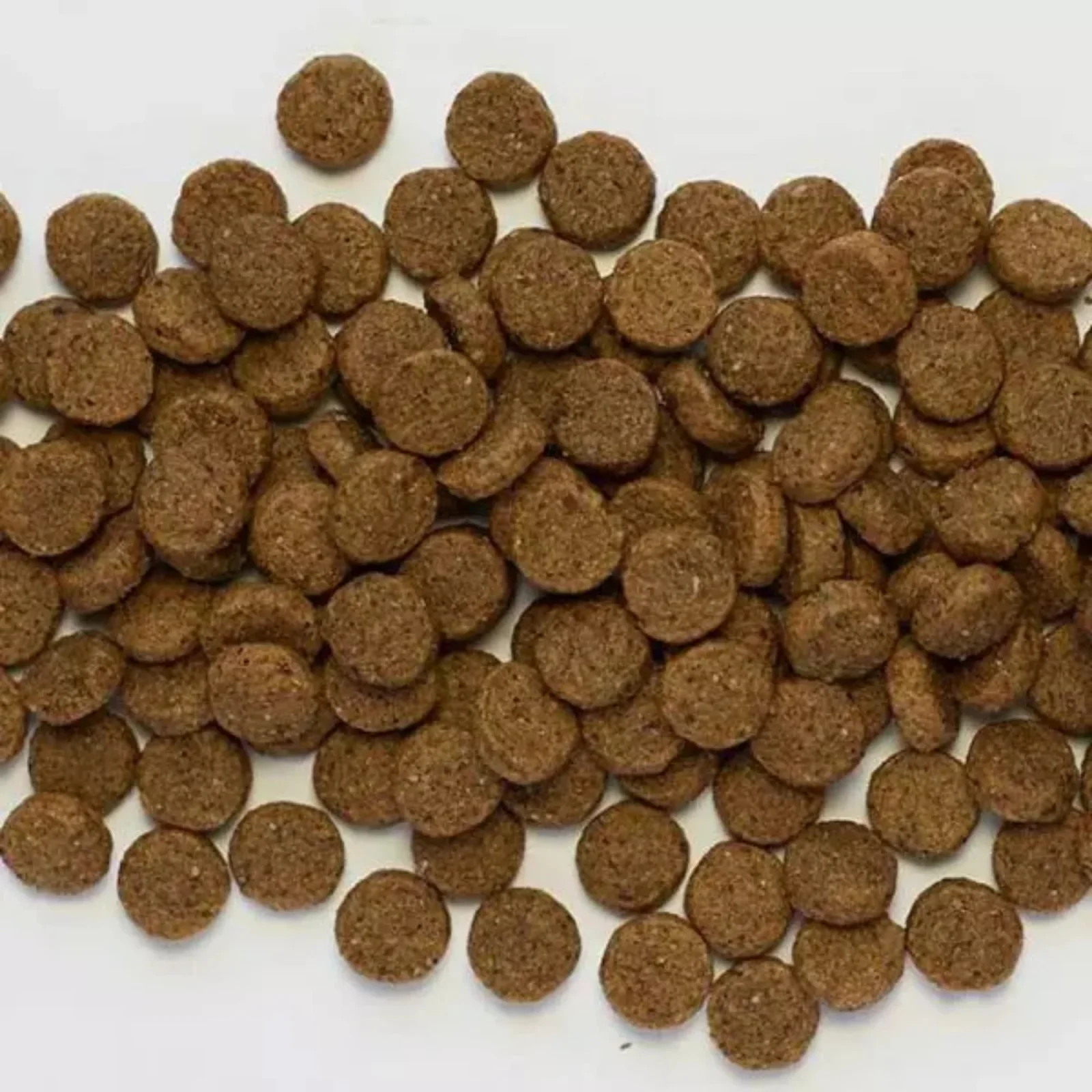 Wholesomes Dry Dog Food Beef Meal & Rice 40lb - Image 2