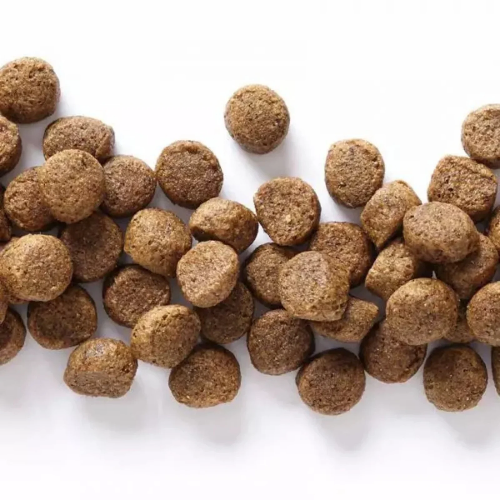 Wholesomes Dry Dog Food Chicken Meal & Rice 40lb - Image 2
