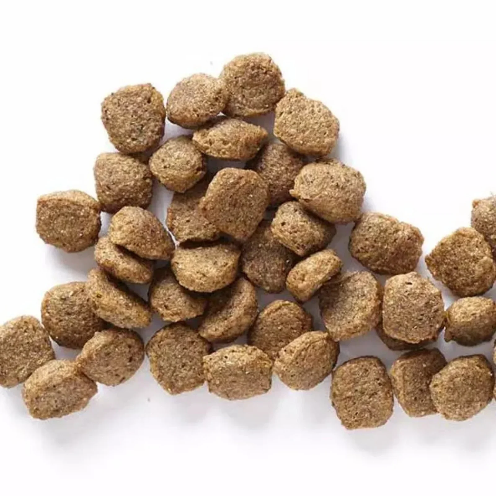 Wholesomes Dry Dog Food Fish Meal & Rice 40lb - Image 2