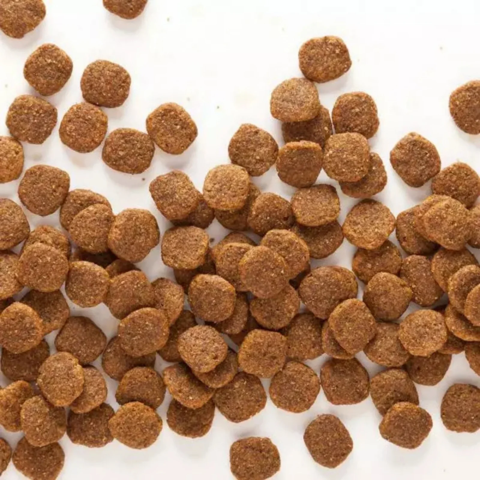 Wholesomes Grain Free Dry Dog Food Chicken Meal & Potatoes 35lb - Image 2