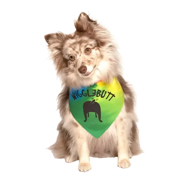 Wiggle Butt Dog Bandana by Dog Fashion Living