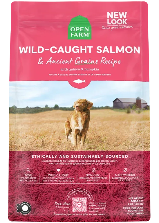 Wild-Caught Salmon & Ancient Grains Dog Kibble