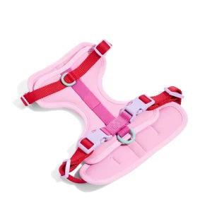 Wild One Adjustable Cushioned Dog Harness, Color and Size Vary