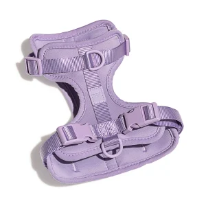 Wild One Adjustable Cushioned Dog Harness, Color and Size Vary