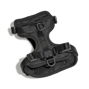 Wild One Adjustable Cushioned Dog Harness, Color and Size Vary