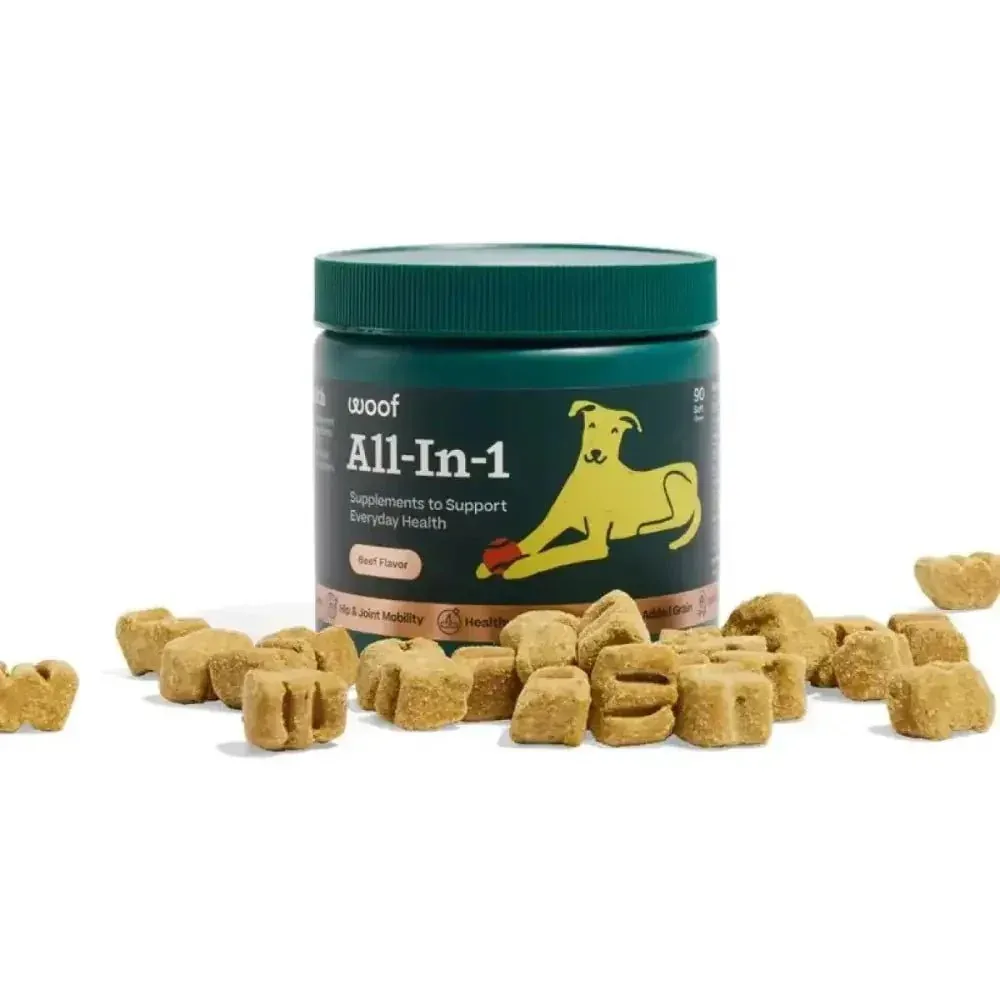 Woof Pet All-In-1 Beef Flavored Chew Vitamin Supplement for Dogs