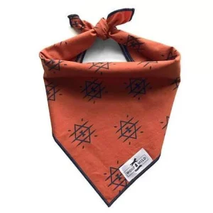 WOOF & WILD | Mojave Dog Bandana