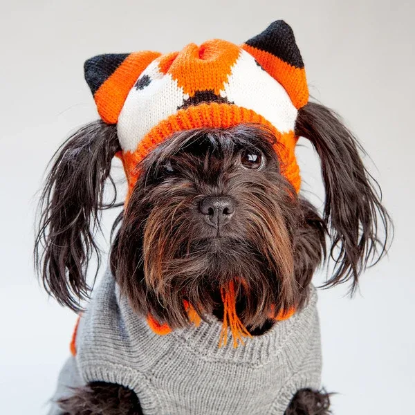 WORTHY DOG | Fox Hat - Image 2